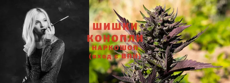 наркота  Абаза  Каннабис White Widow 